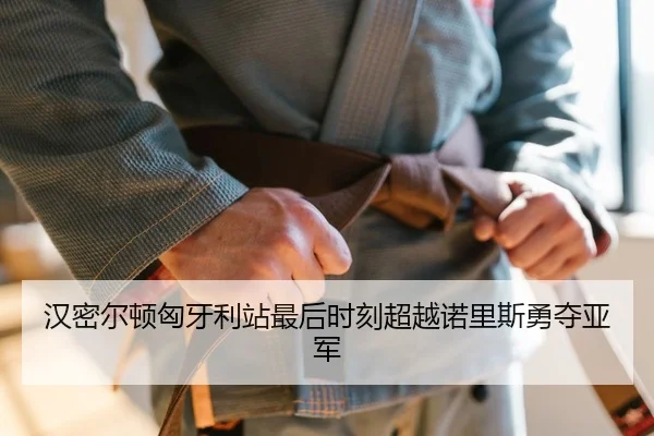 汉密尔顿匈牙利站最后时刻超越诺里斯勇夺亚军
